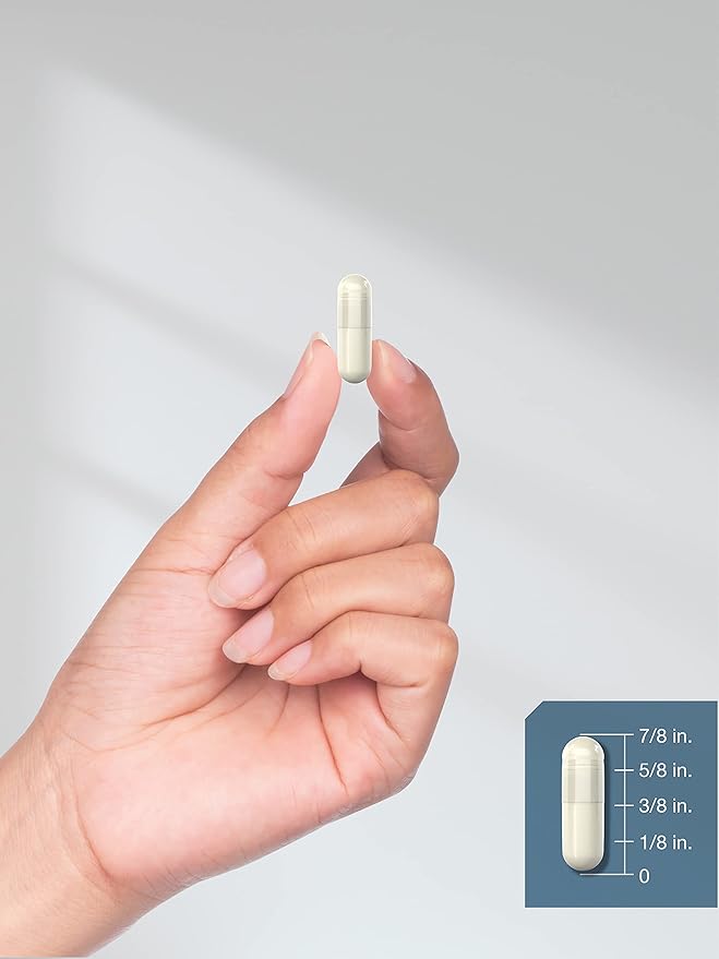 Horbäach MSM Supplement Capsules 1000mg | 250 Count