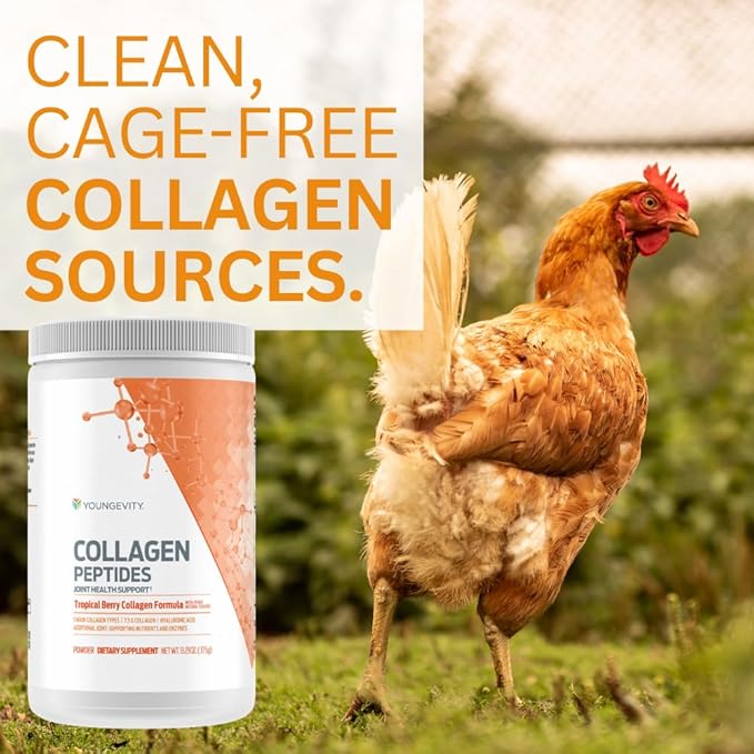 YoungevityCollagen Peptides - Joint Health Support