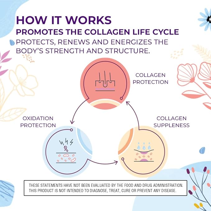 Body Kitchen Youthful Beauty Advanced, Collagen 1)