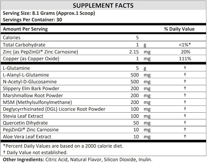 TERRA ORIGIN Healthy Gut Powder (Berry |30-Servings with