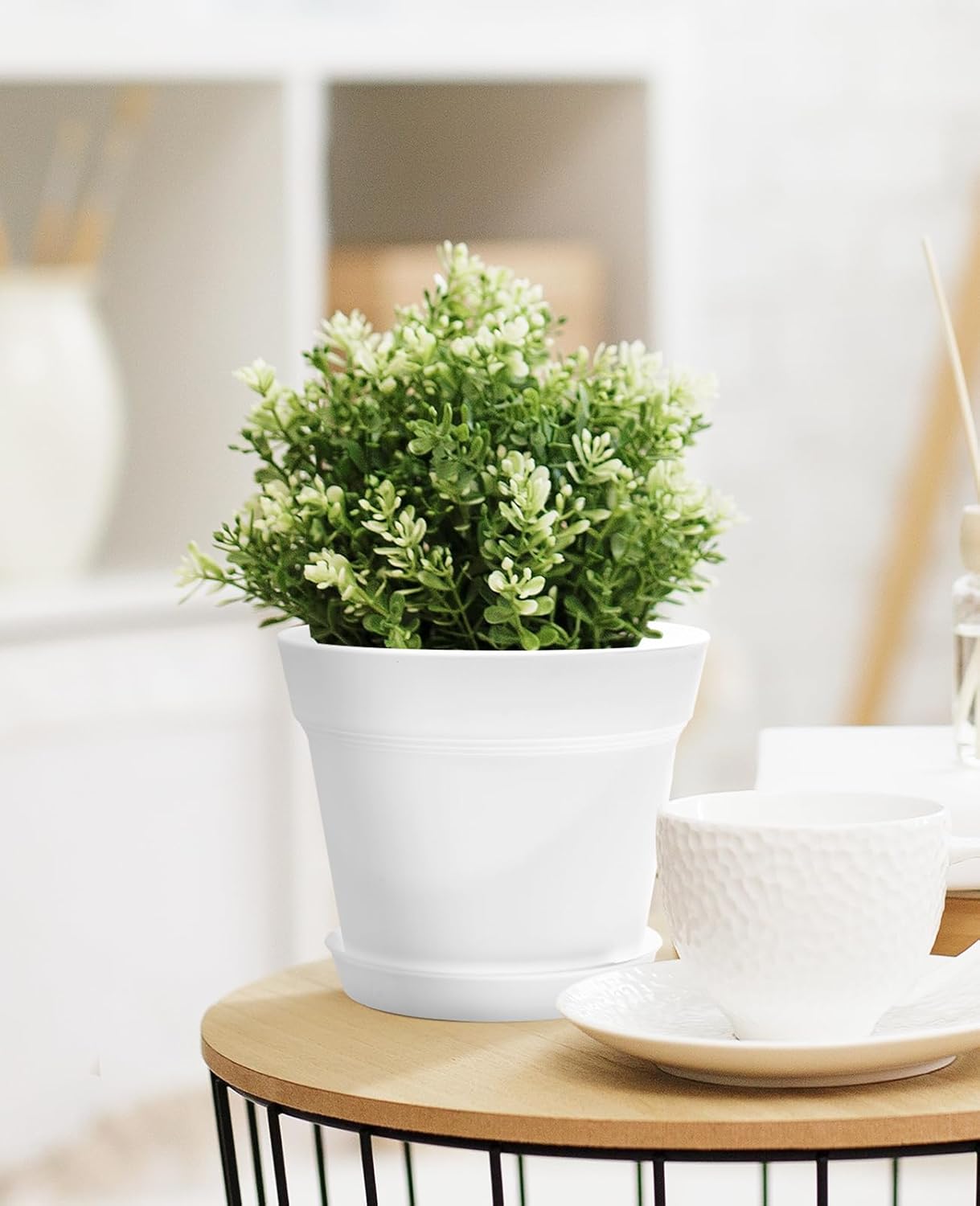 homenote Plant Pots,6 Inch Flower Pots for Plants Plastic Planters for Indoor with Multiple Drainage Holes and Trays, for All Home Garden Flowers Succulents,Outdoor(White&Black,16 Pack)