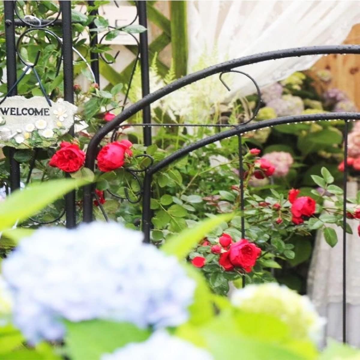 Steel Garden Arch with Gate, Garden Arbor for Various Climbing Plant, Metal Archway Trellis Pergola for Outdoor Garden Lawn Backyard Easy-to-Assemble Stereoscopic Garden Decorations