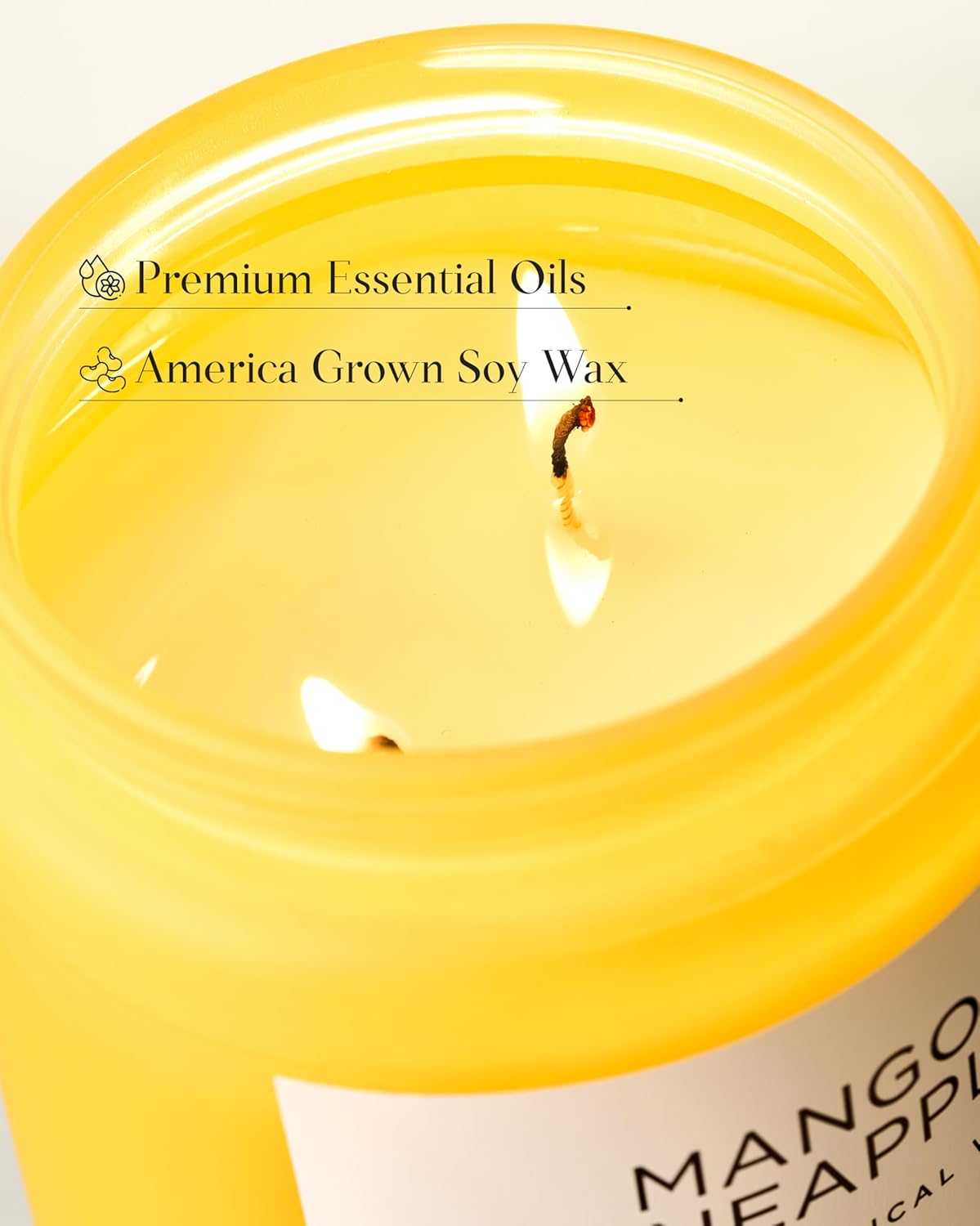 M&SENSE Mango Pineapple Scented Candle, 19.4oz Non Toxic Natural Soy Wax 110 Hours Long Lasting Burn Fruit Scent Summer Gifts for Housewarming, 2 Wick Aromatherapy Candle for Women Men Family Friends