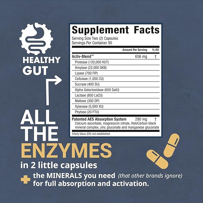 Healthy Gut HoloZyme Digestive Enzymes 90 Servings