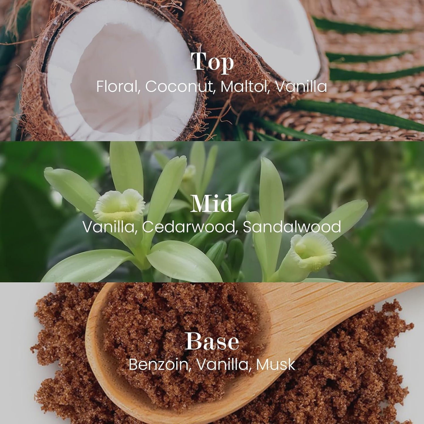 M&SENSE Natural Soy Candle| Vanilla Sandalwood | 5.3 oz | Minimalist Scented Candle for Relaxation, Gifting, Home Décor | for Bedroom, Office, Party Small