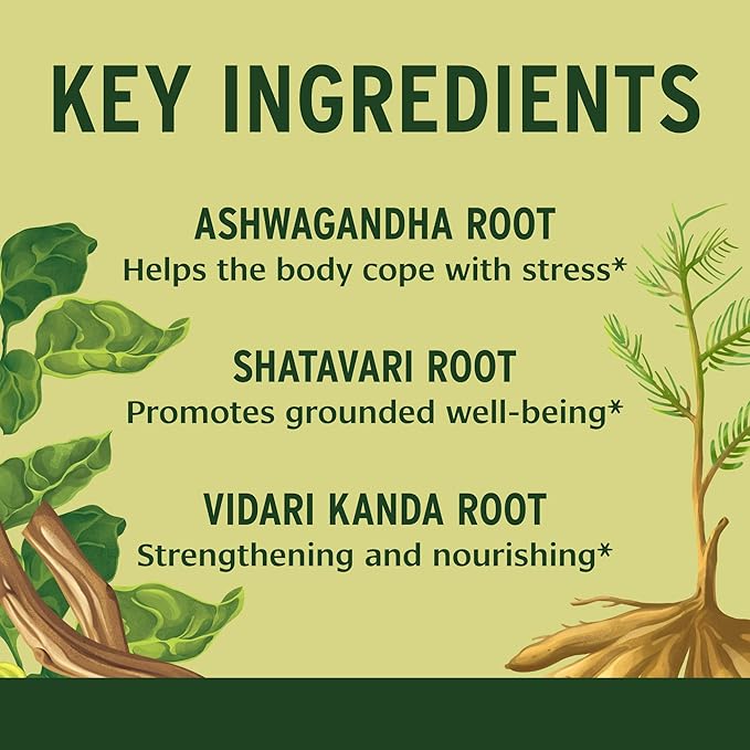 Banyan Botanicals Healthy Vata – Organic 90 Tablets
