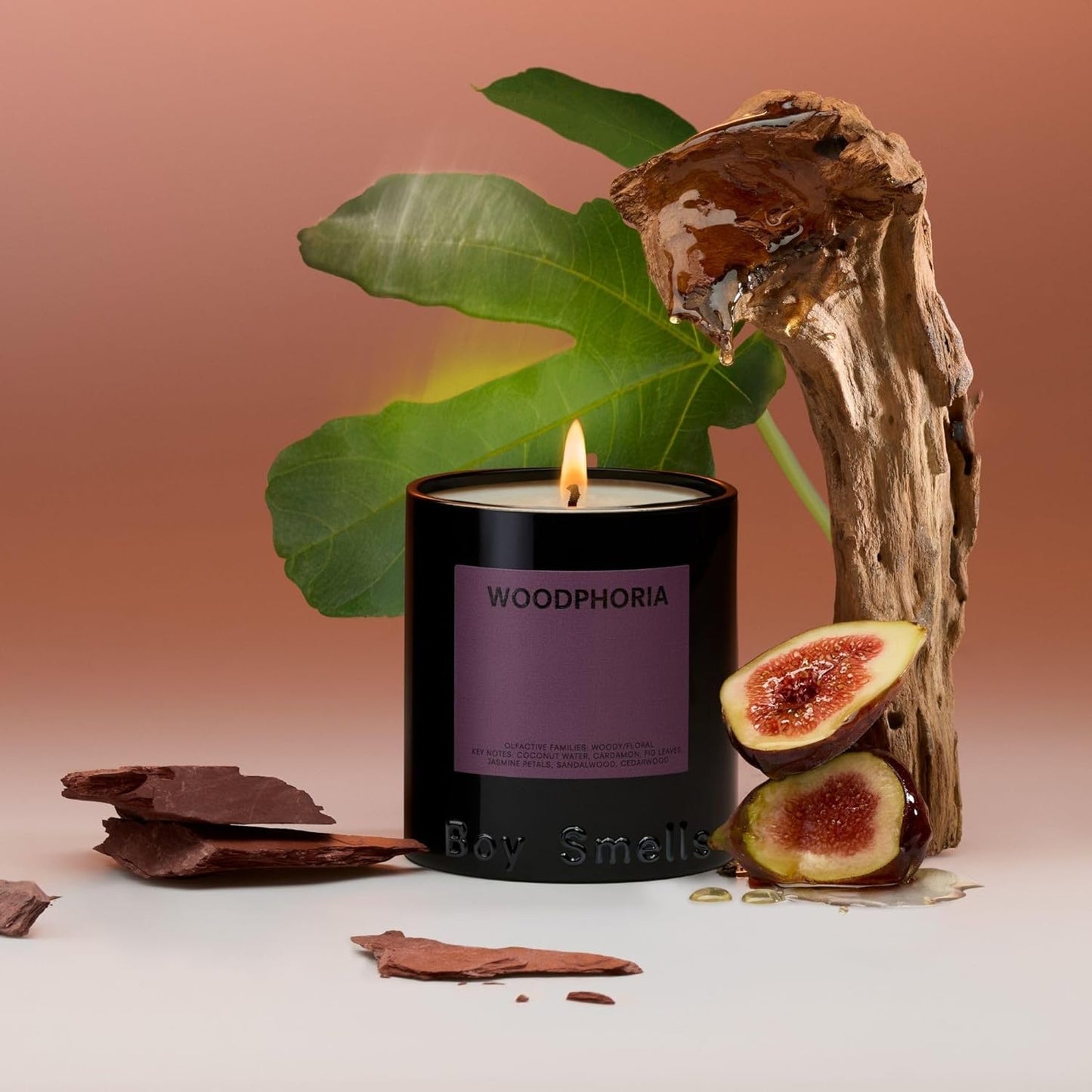 Boy Smells - Woodphoria Scented Candles for Men and Women - 8.5 oz - Soy, Coconut Wax Candle Blend - Aromatic Candles for Home with Fig, Sandalwood and Jasmine - 50-Hour Burn - Cotton Wick