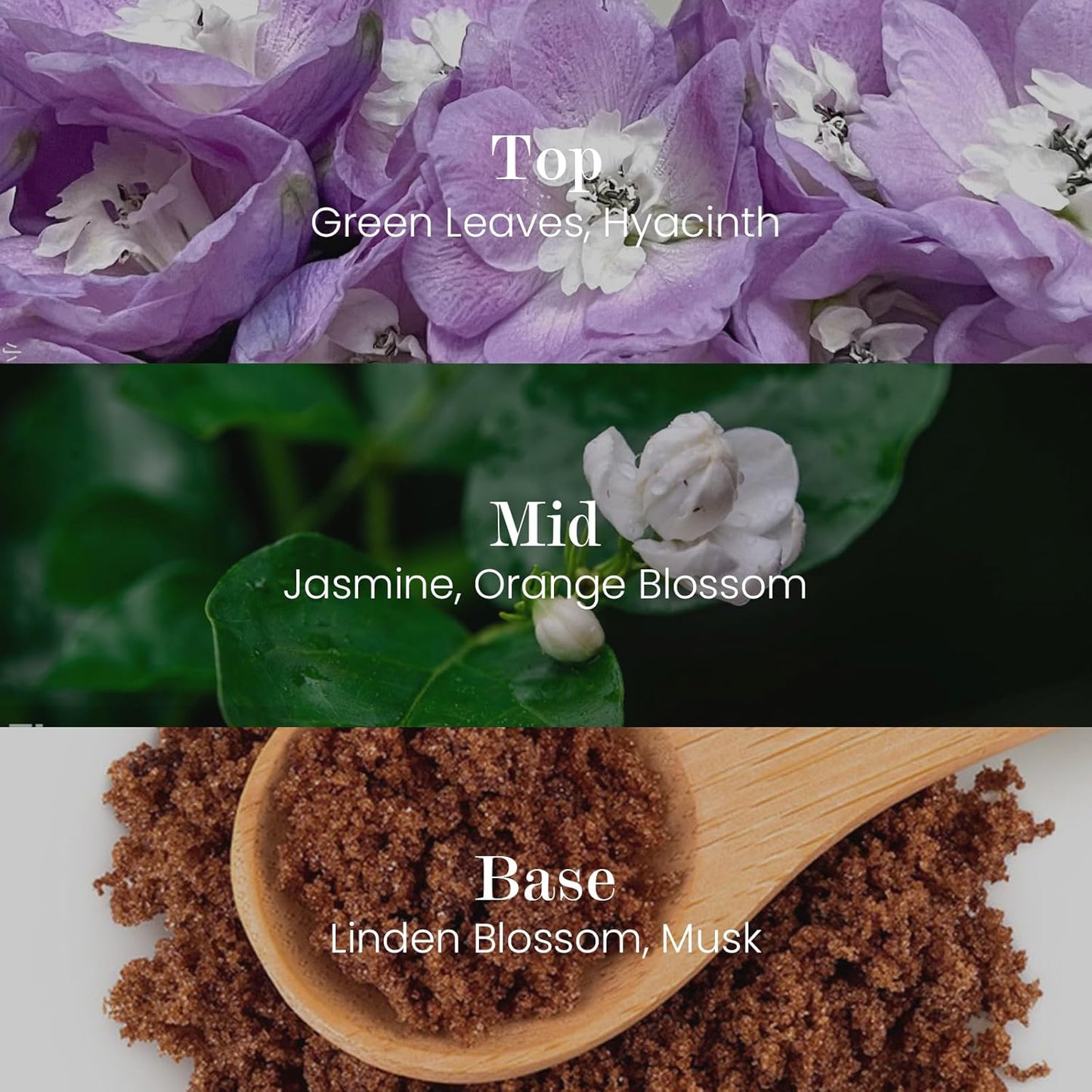 M&SENSE Natural Soy Candle| Bamboo Stream | 8.82 oz, 50H Burn | Minimalist Scented Candle for Relaxation, Gifting, Home Décor | for Bedroom, Office, Party Medium