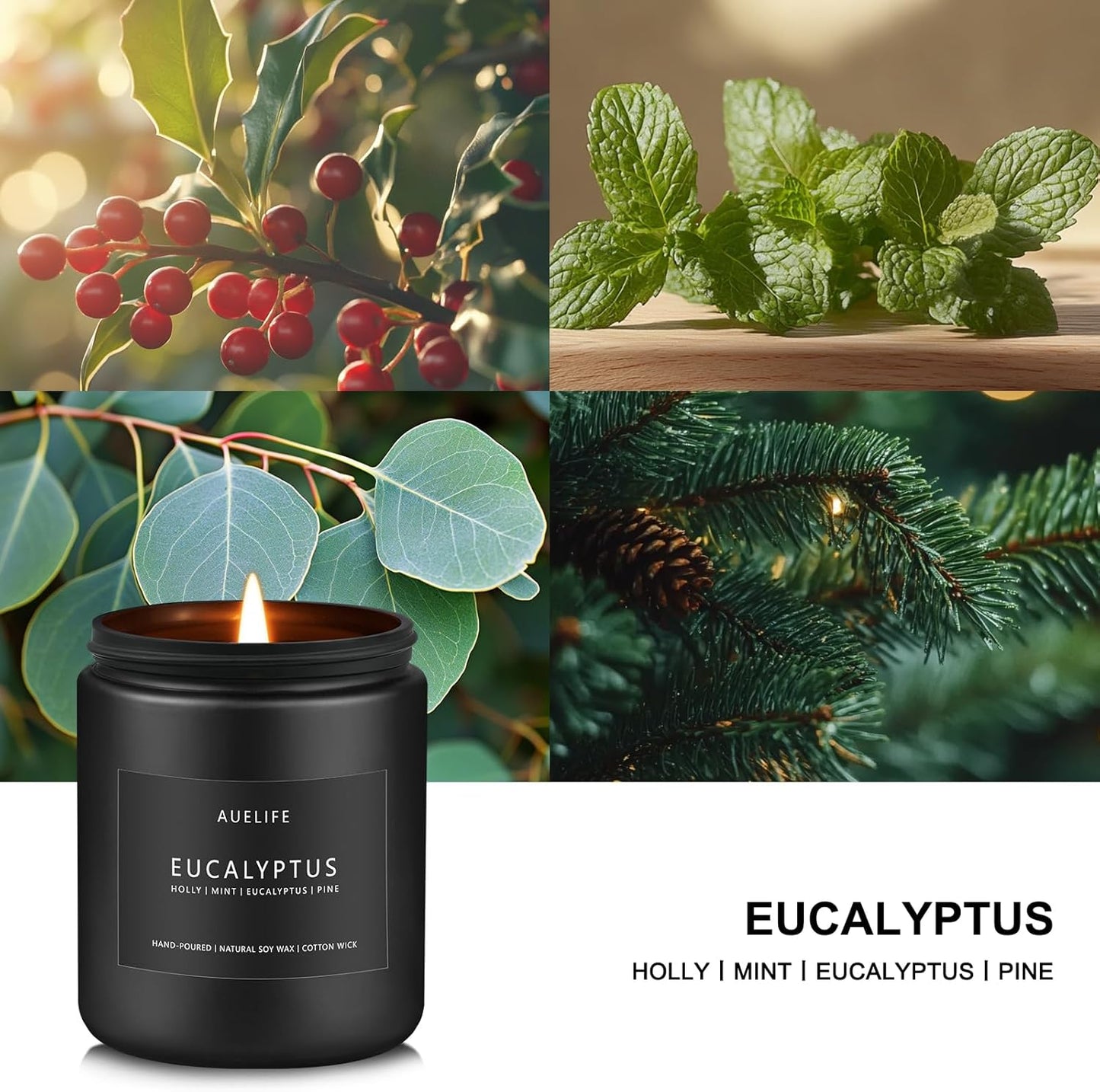 Eucalyptus Candle | Eucalyptus Scented Candles, Eucalyptu Leaf Fragrance for Indoor & Outdoor, Summer Candle Gifts, Natural Soy Candles for Home Scented - 7oz, 50 Hours Burn Time
