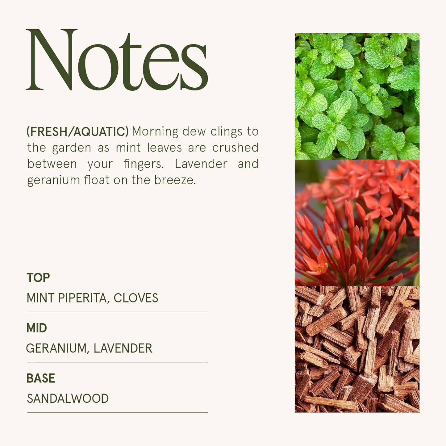 LA JOLIE MUSE Geranium Vert Mint Candle - Mint, Geranium, Lavender | 6 oz Natural Soy Wax | 40 Hours Clean Burn | Fresh Scented Candle | Gift-Ready for Hosts & Gatherings