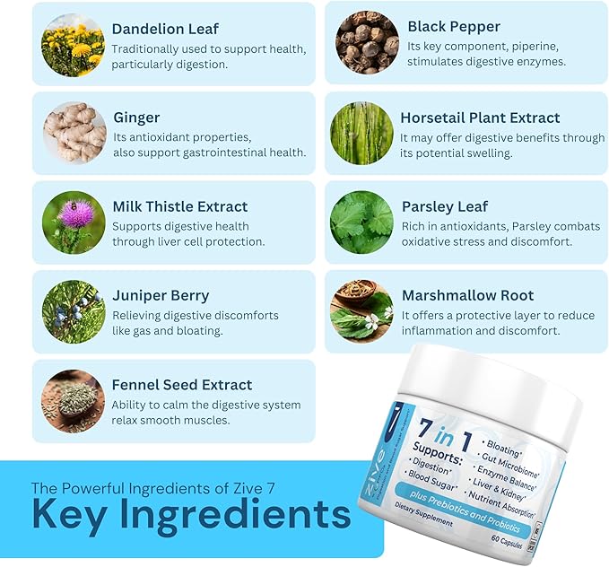 Digestive & Gut Health Support Supplement 60 Capsules 7 in 1 Probiotic