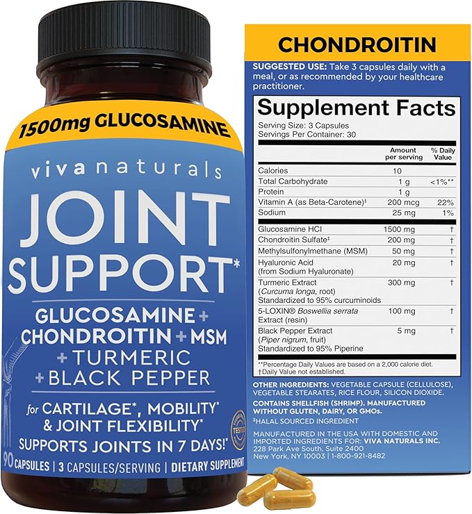 Glucosamine Chondroitin MSM Joint Support Supplement, 90 Capsules