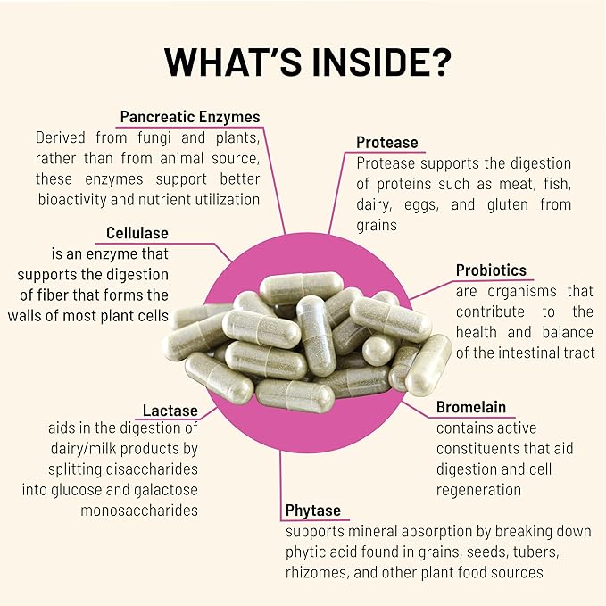 Digestive – Probiotics for Gut Health 1.5 Billion (90 Capsules)