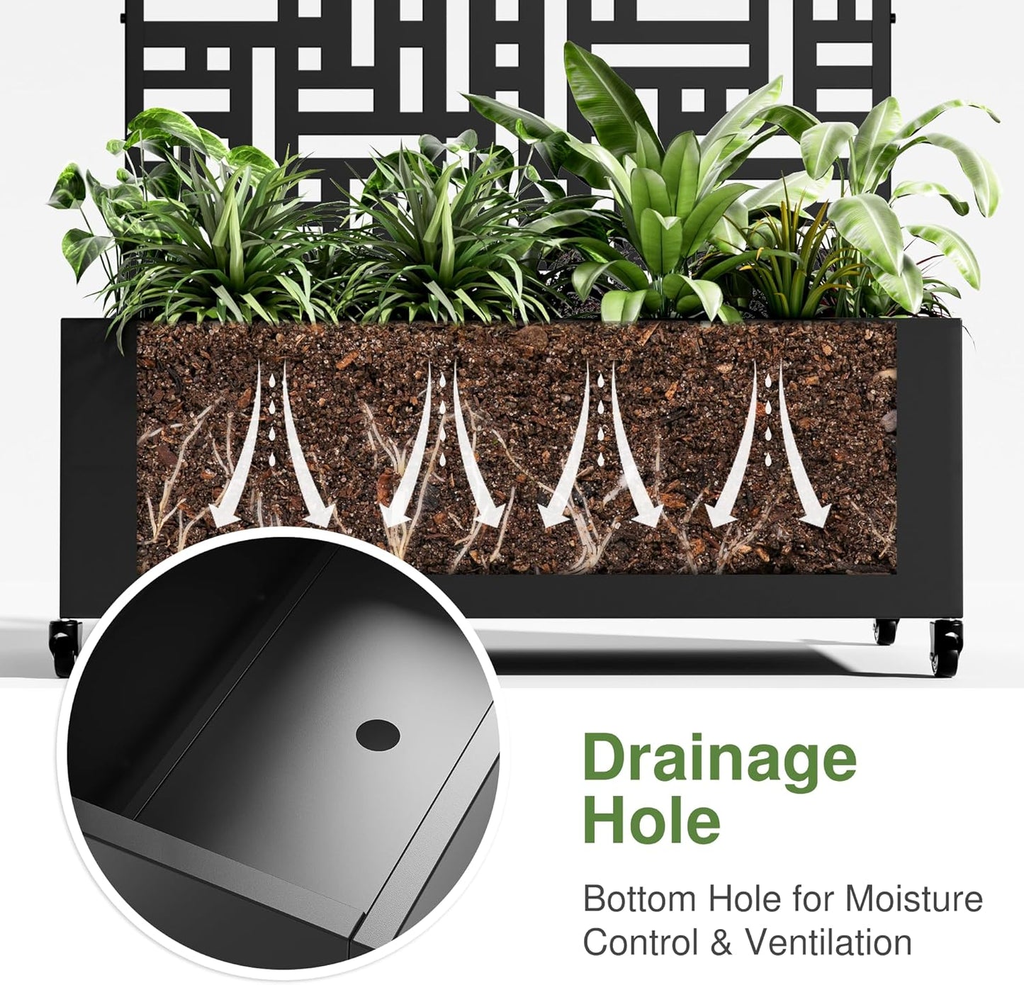 Casaphoria Metal Raised Garden Bed with Trellis and Wheels, 47"x47"x16" Planter Box for Climbing Plants, Vegetables & Vines, Features Drainage Holes and Privacy Screen (Black-Helen)