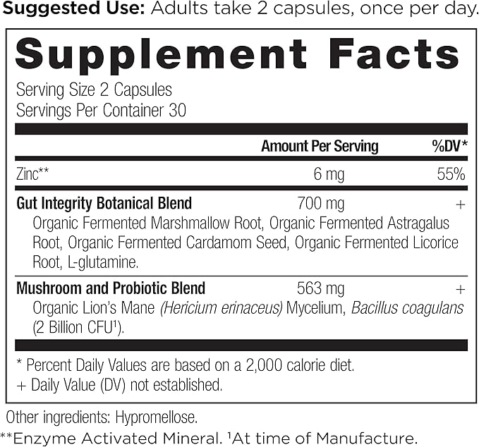 Gut Health Supplement by Ancient Nutrition 60ctFormulated with 60 Ct