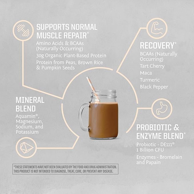 Vegan Protein Powder Plant-Based USDA Organic BCAAs | 30g Protein per Serving | Sugar Free, Gluten Free Non-GMO Dairy Free | Chocolate Flavored, 20 Servings | Active Sport Protein Powder