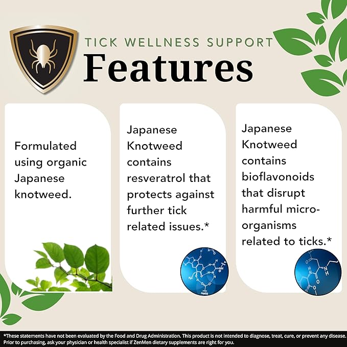 Gut Health Support Bundle: H.Pylori Support