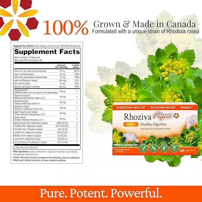 Digest. Gut Health supplement with Digestive 60 Capsules.
