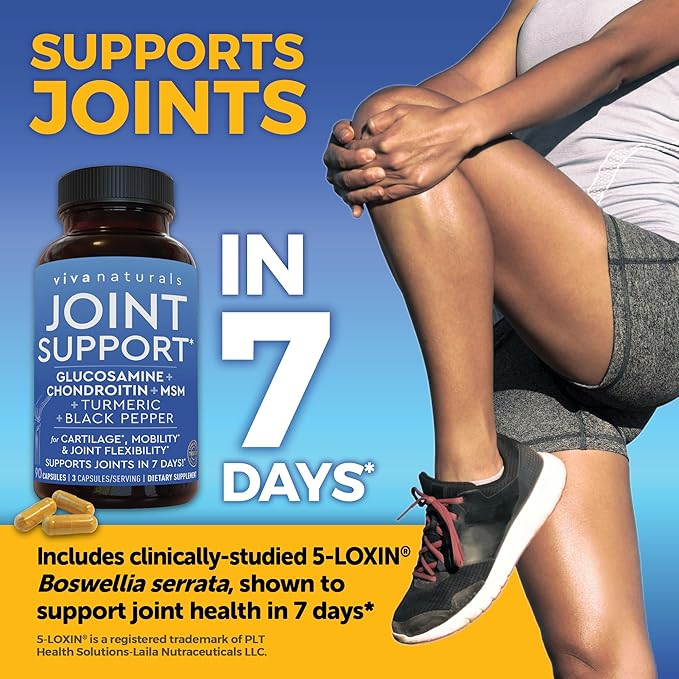 Glucosamine Chondroitin MSM Joint Support Supplement, 90 Capsules
