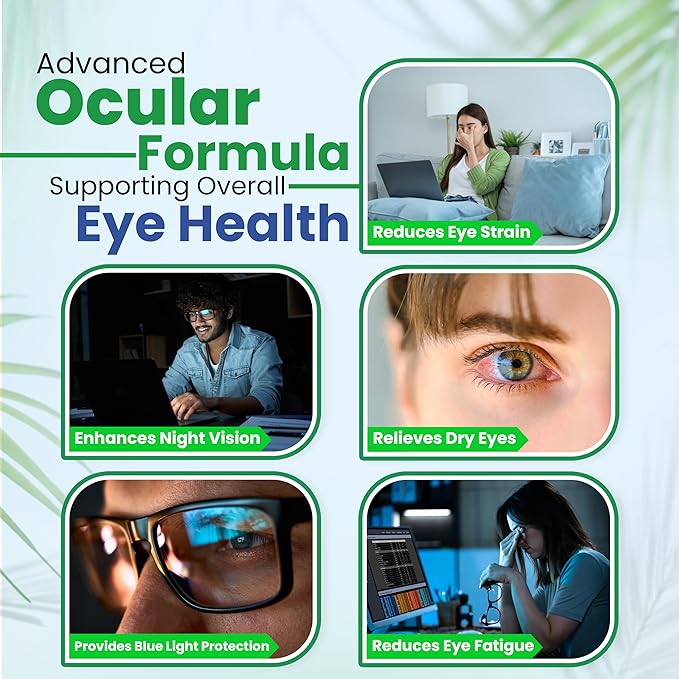 Vision Support Eye Vitamins for Macular Health 2 Formula (1 Bottle, 120 Capsules)