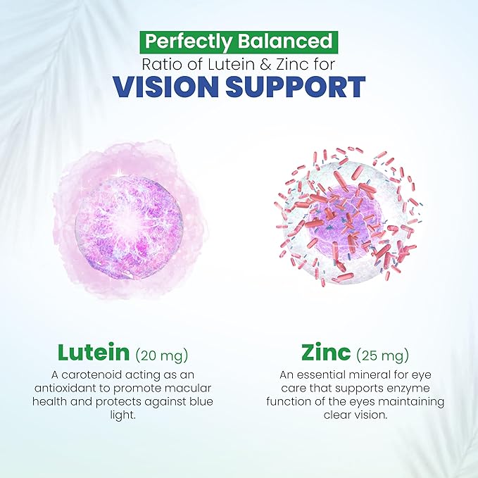Vision Support Eye Vitamins for Macular Health 2 Formula (1 Bottle, 60 Capsules)