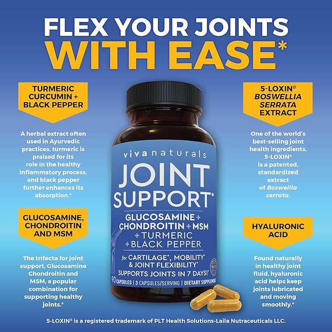 Glucosamine Chondroitin MSM Joint Support Supplement, 90 Capsules