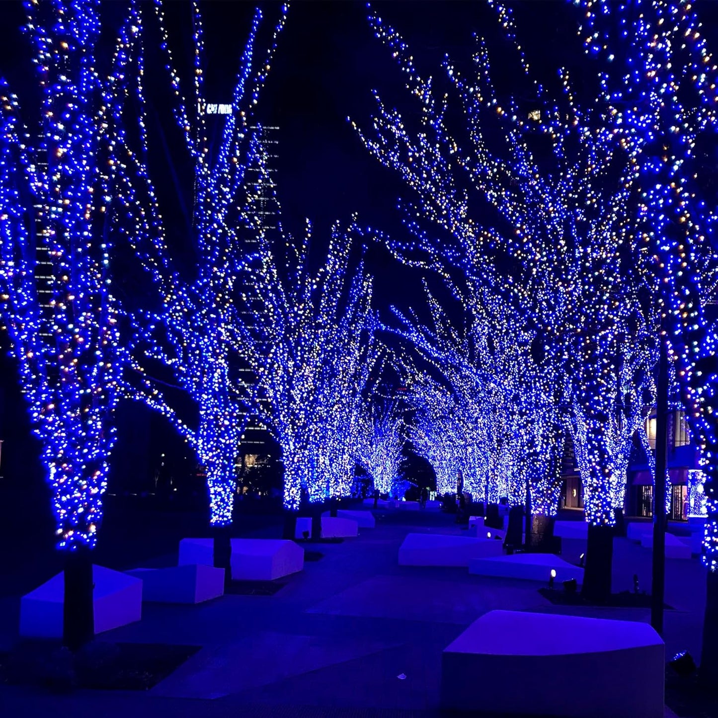 2-Pack 200 LED Solar Fairy Lights Outdoor, Upgraded Oversize Lamp Beads & Super Bright Solar String Lights Outoor, 8 Modes Solar Lights for Garden Patio Decorations(Blue&White)