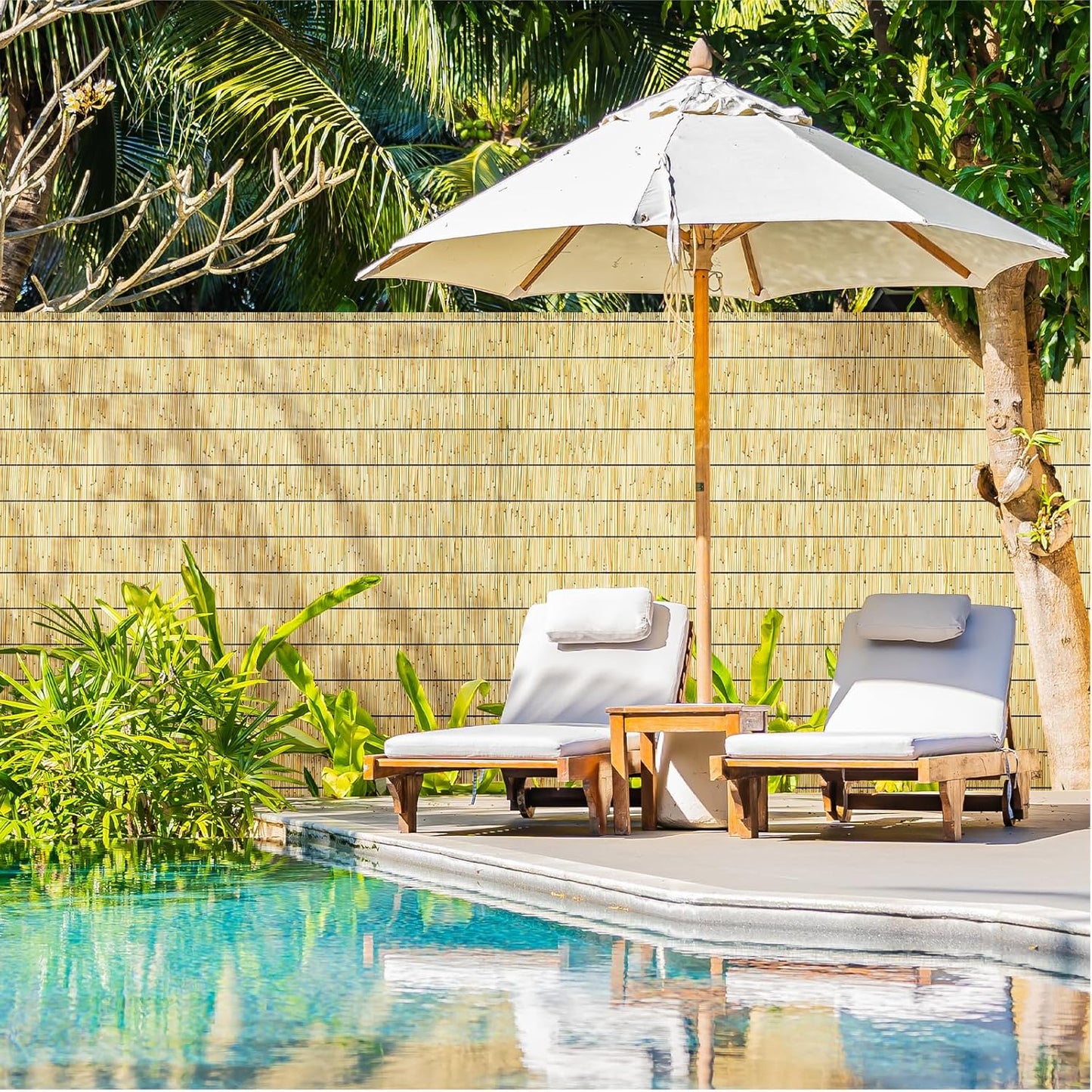 Natural Reed Fencing Rolls,6FT X 16.4FT Reed Screen Curtain Fence Covering Privacy Bamboo for Outdoor Backyard Patio(Yellow)