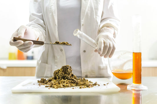 The Power of High-Quality Ingredients in Your Supplements