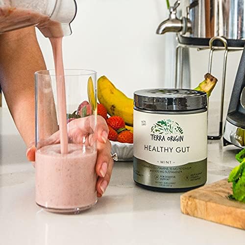 TERRA ORIGIN Healthy Gut Mint Flavor |3-Pack, 90 90 Servings 30-serving tubs)