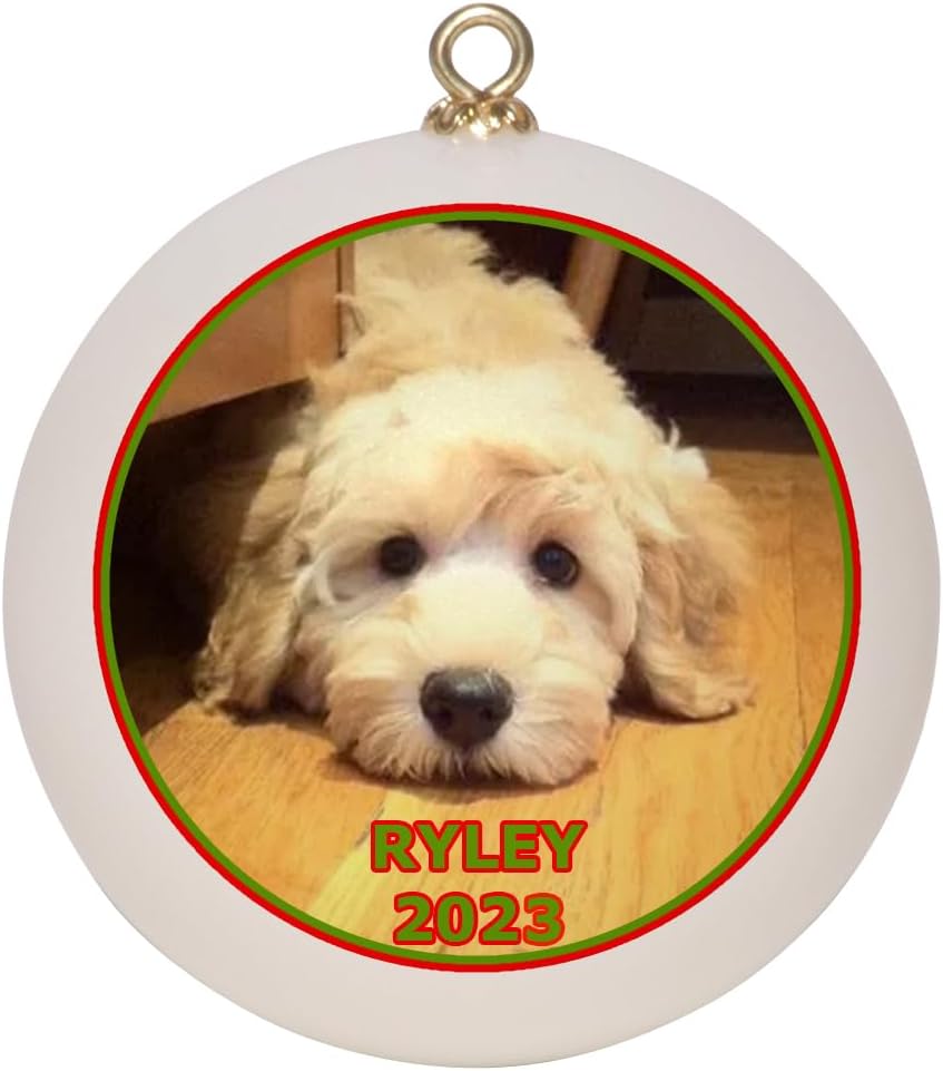 Custom Dog, Cat, or Pet Christmas Ornament Keepsake with Gift Box, Personalized Pet Picture with Pet Name, Shatterproof 2023 Holiday Ball Ornament for Pet Owners