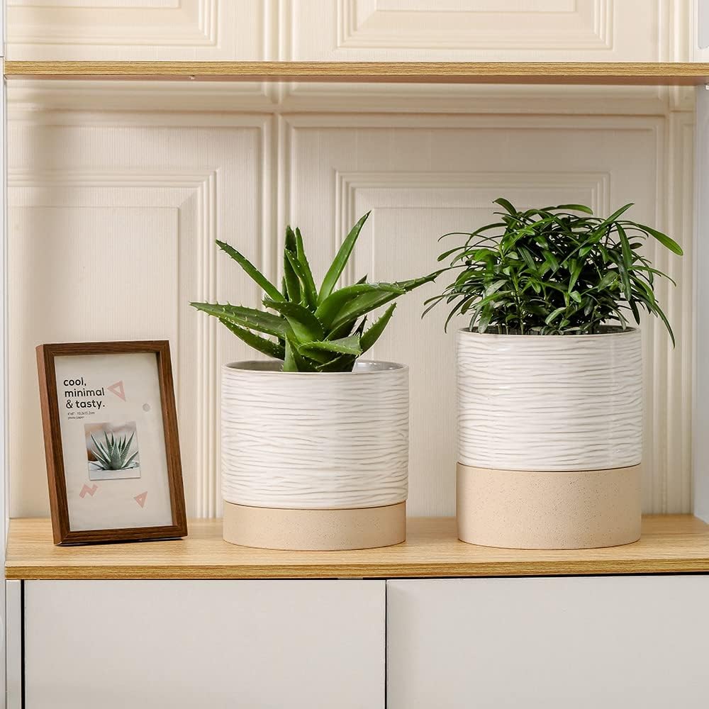 Nihow Ceramic Plant Pot: 6 Inch Planter with Drainage Hole & Saucer for Indoor & Outdoor Plants - Cylinder Round Flower Pot for Succulent/Herbs/Violets - Cream White & Brown