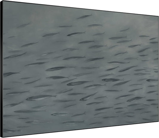 SIGNWIN 36"x46" Extra Large Framed Wall Art Gray School of Fish Minimalist Ocean-Inspired Marine Life Illustration for Home Living Room Bedroom Decor (Frame Assembly Required)