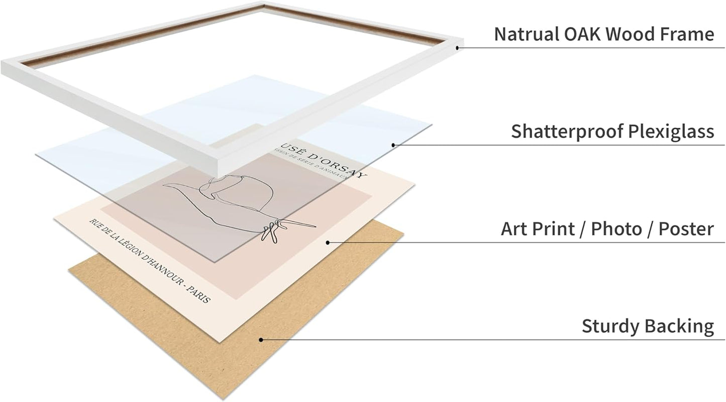 Poster Master Vintage Poster - Retro One Line Snail Drawing Print - Snail Line Art - Minimal Gift for Men, Women, Animal Lover - Abstract Wall Decor for Home, Office, 16x20 White Framed