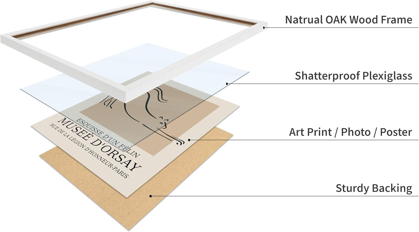 Poster Master Vintage Poster - Retro Minimalist Print - Gift for Artist, Housewarming - Cat, Line Drawing, Sketch, Abstract - Wall Decor for Living Room, Bedroom, 11x14 White Framed