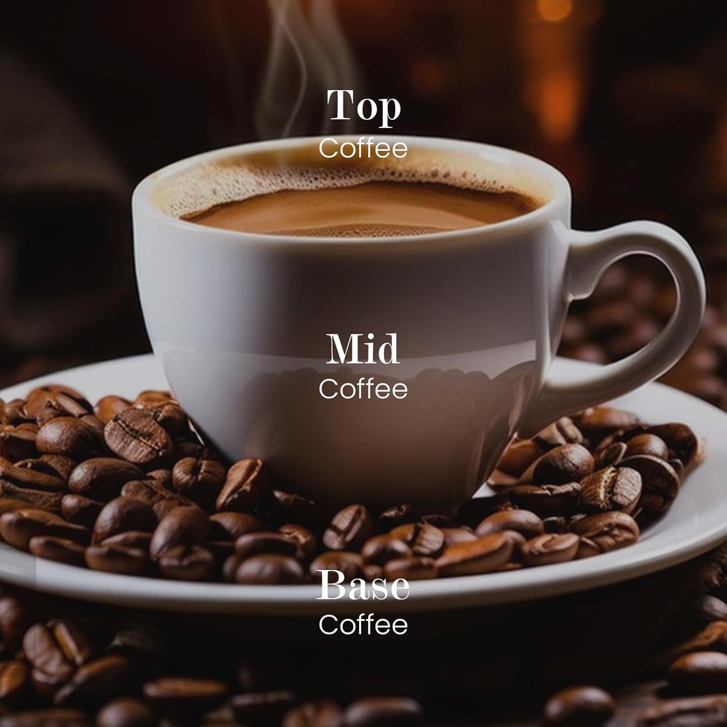 M&SENSE Natural Soy Candle| Espresso Love | 8.82 oz, 50H Burn | Minimalist Scented Candle for Relaxation, Gifting, Home Décor | for Bedroom, Office, Party Medium