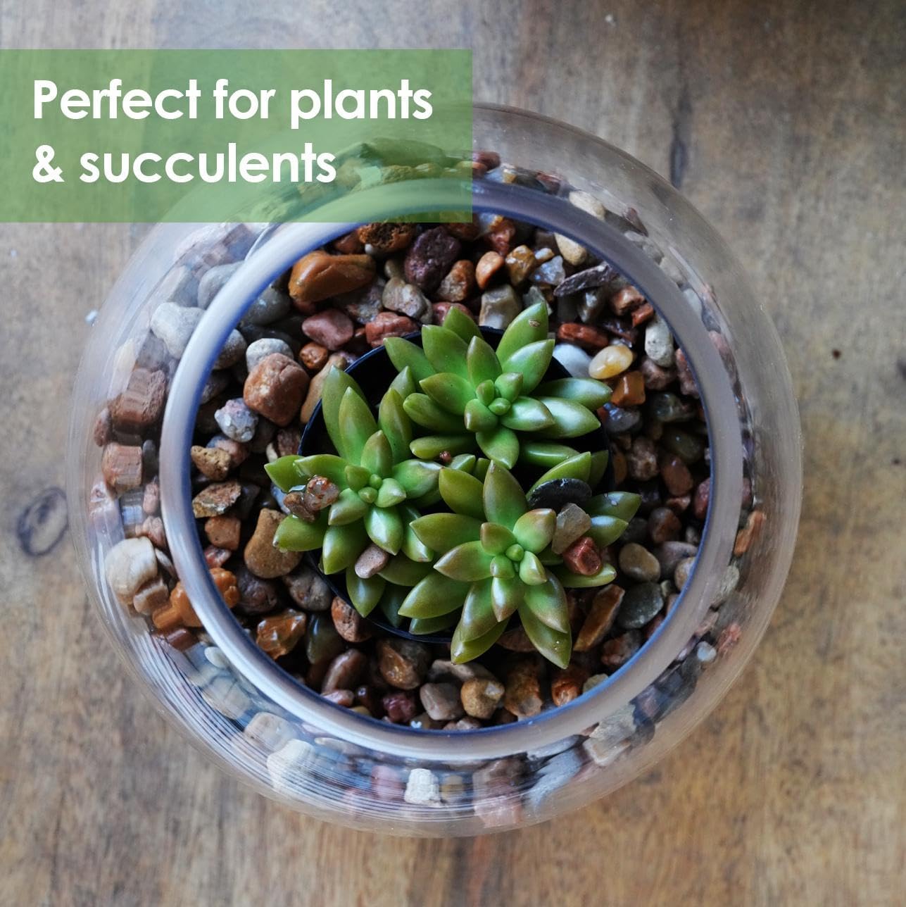 Craft And Party, Fish Bowl Vase, 14" Height x 16" Width Glass Fish Bowl Vase, Bubble Bowl vase for Terrarium, Flower vase Centerpiece