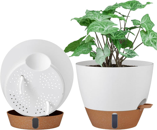 montresor 2 Pack 8 inch Plant Pots, PP Plastic Self Watering Plant Pot with Drainage and Tray for Indoor Outdoor Plants, Water Level Window & Reservoir Flower Pots Decorative Planter(White)