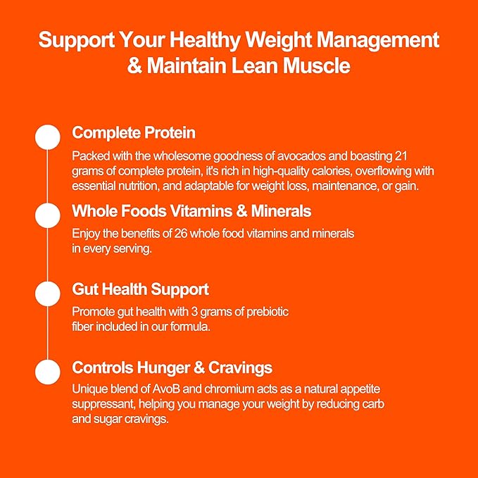 Advanced Weight Support Meal Replacement Chocolate