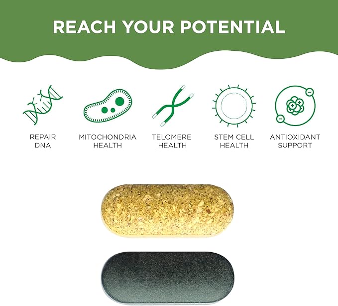 Healthycell AM PM, Natural AntiAging Multivitamin (30 Servings)