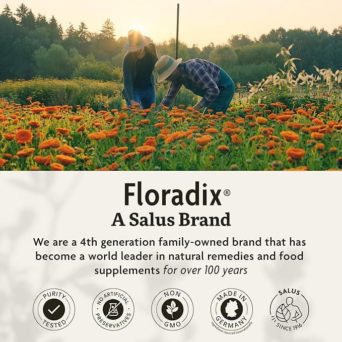 Floradix Floravital Liquid Iron & Vitamins Formula 17 oz