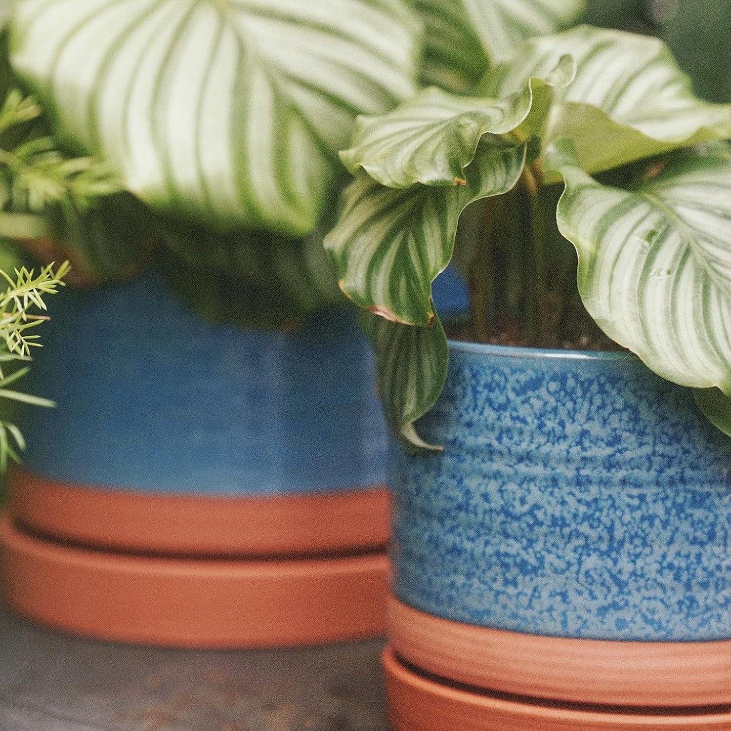 8 Inch Pots for Plants, Ceramic Planter Pot with Drainage Hole & Saucer, Indoor/Outdoor Cylinder Round Planter Pot, Blue & Terracotta