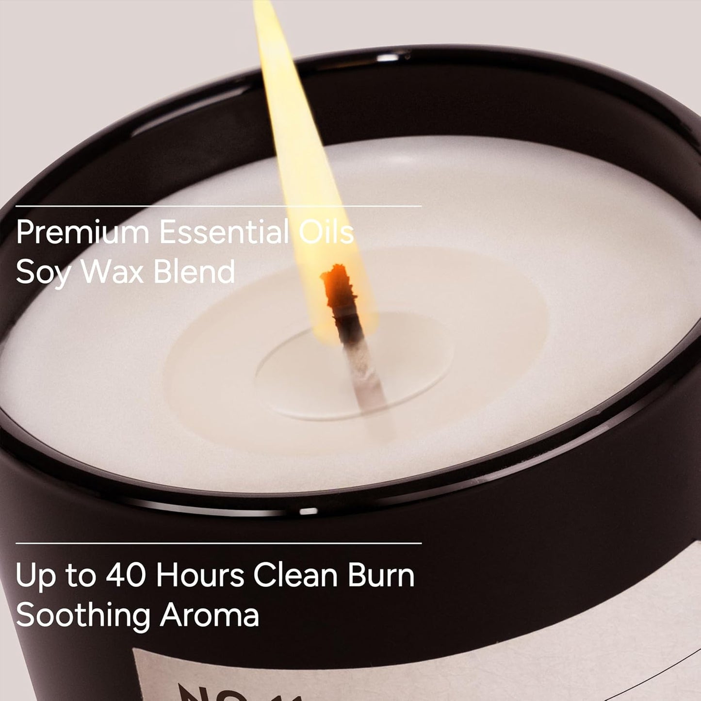 Berry Splash Luxury Scented Candles, 9oz Soy Wax Candles for Home Scented, BlackBerry, Boysenberry & Woods Scent, Long Burning Time, Gifts for Women, Friends, Men, Sister, Mom, Teacher