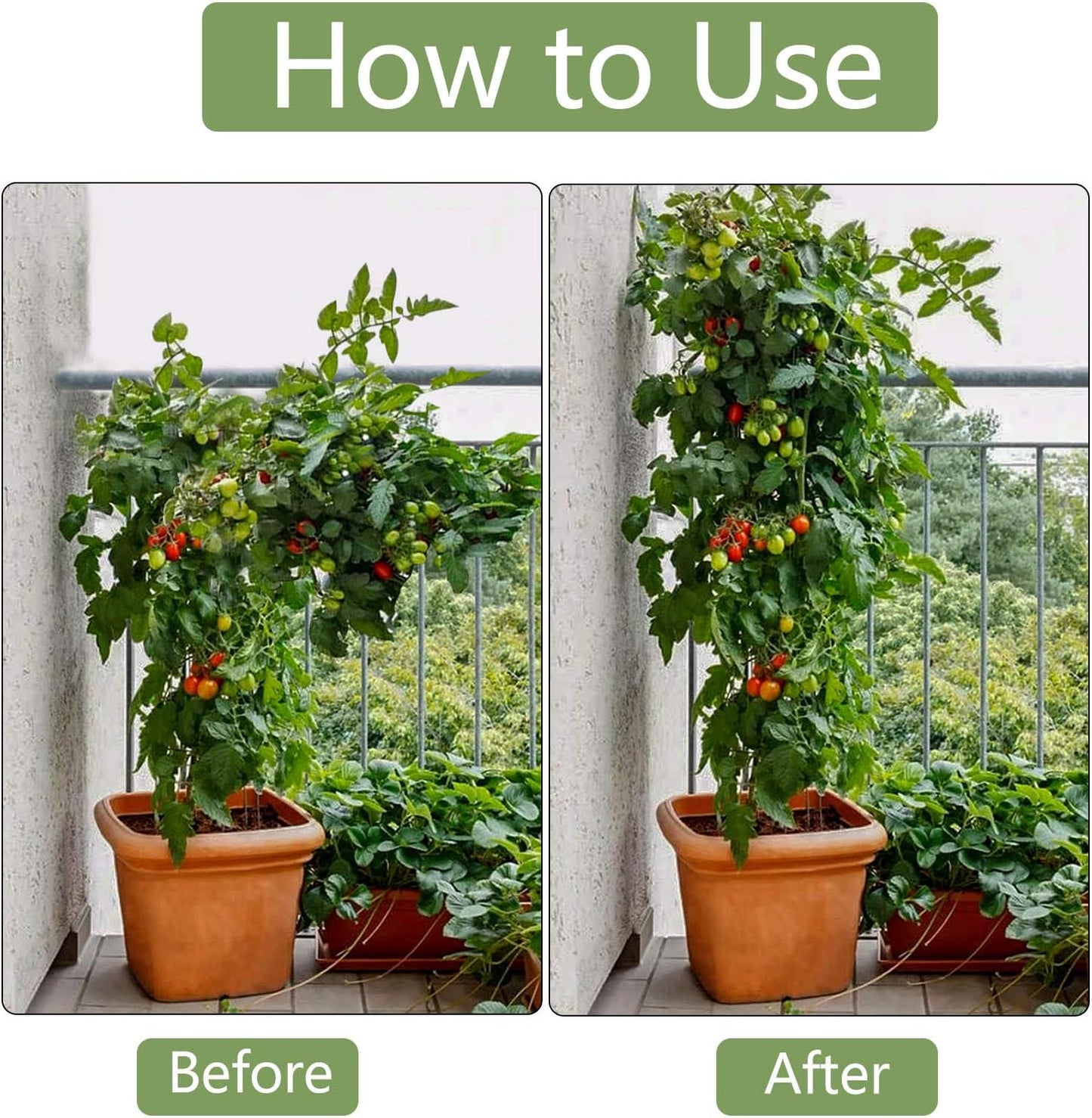 Garden Plant Stakes 36 Inch 3Ft Steel Plant Stick Support, 25 Pack Tomato Stakes for Growing Climbing Plants, Potted Plants, Tomatoes, Trees, Cucumber, Beans, Fences Poles