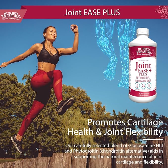 Buried Treasure Joint Ease Plus 16 fl