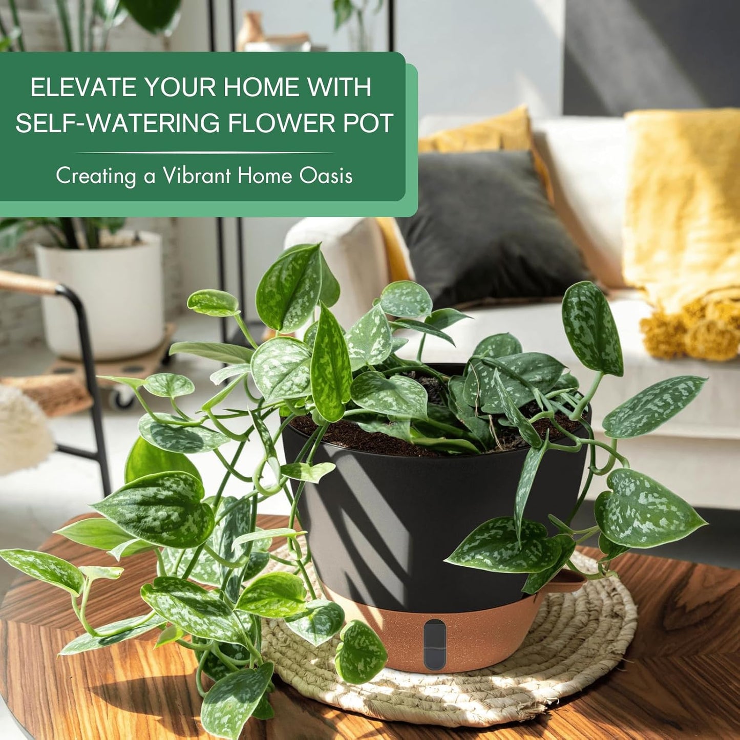 montresor 2 Pack 8 inch Plant Pots, PP Plastic Self Watering Plant Pot with Drainage and Tray for Indoor Outdoor Plants, Water Level Window & Reservoir Flower Pots Decorative Planter (Black)