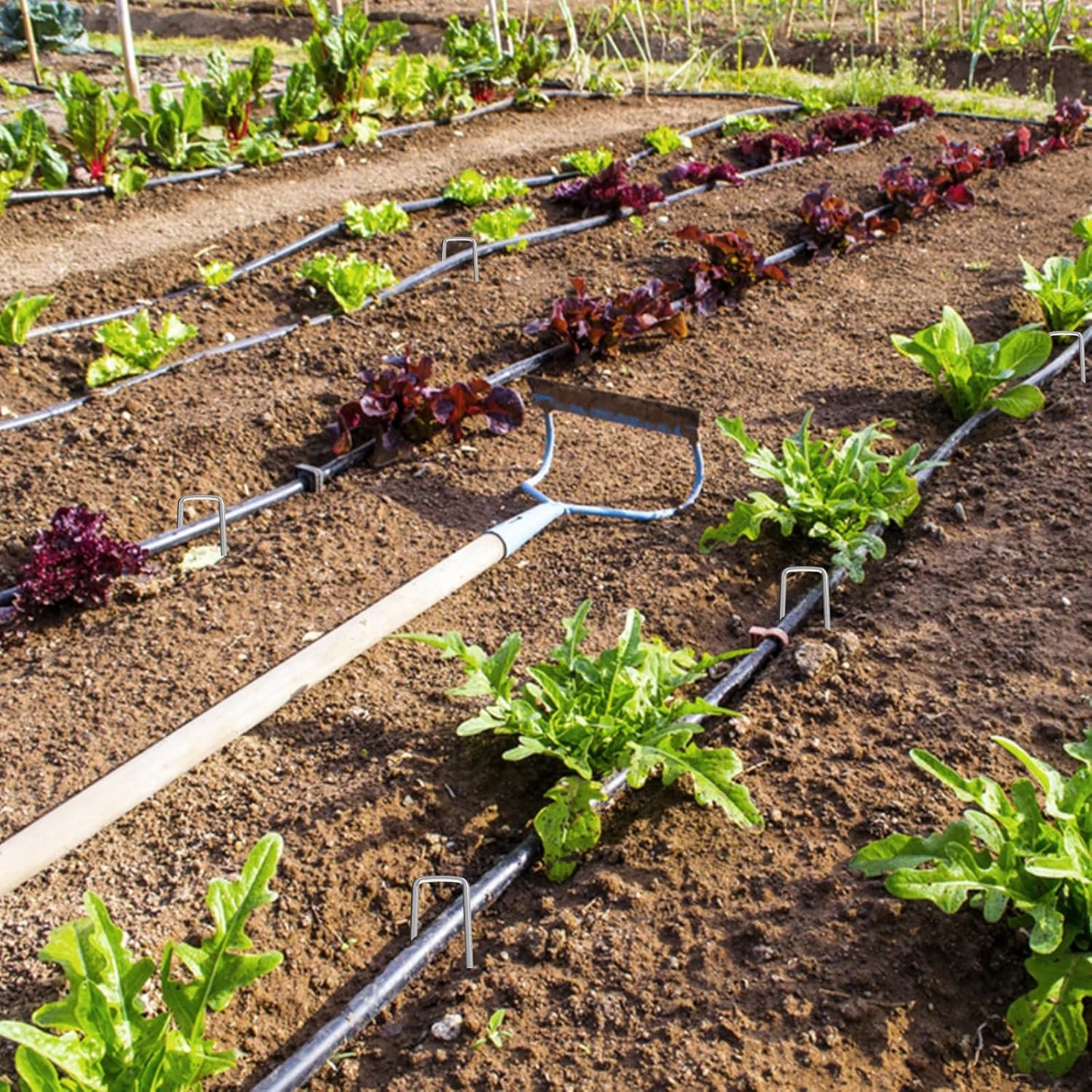 RAOOKIF 12 Inch Galvanized Garden Landscape Staples Stakes, 200Pcs Garden Metal Stakes, 11 Gauge Heavy Duty Ground Stakes for Decoration, Fence Stakes Lawn Stake, Fabric Pins