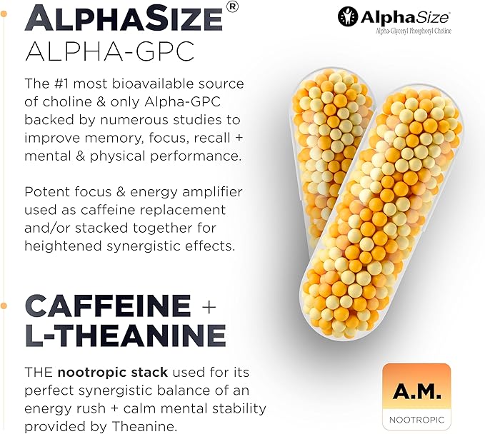 AMPM Nootropic Total Focus + Calm 9X Strength w. Caffeine, L-Theanine, Alpha GPC, L-Tyrosine, Ashwagandha - X-Release Energy Pills Nootropics Brain Support Supplements for Memory and Focus Supplement