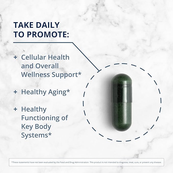 Metagenics PhytoMulti Multivitamin B6 Vitamins 60 Capsules