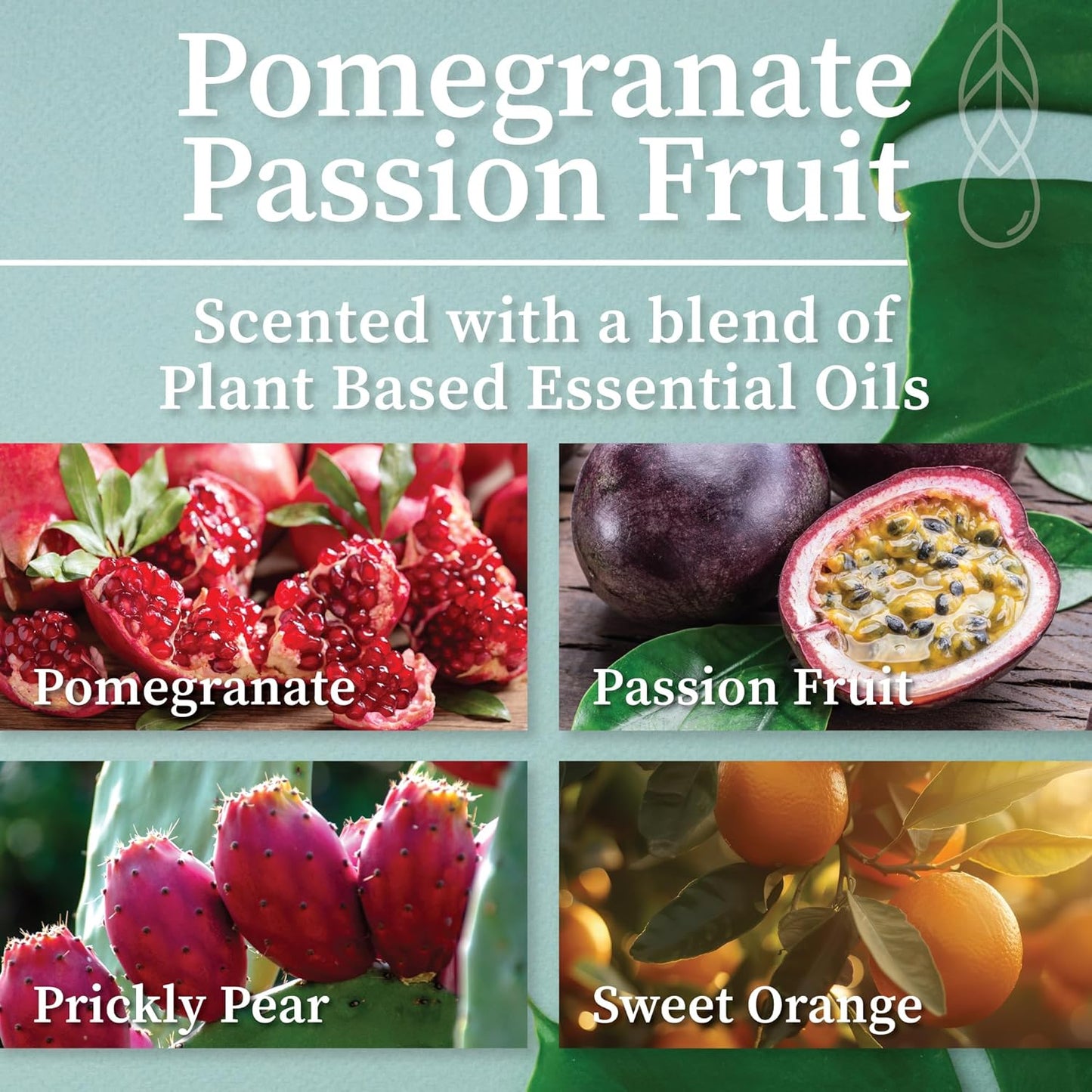 Hemlock Park Wood Wick Candle Handcrafted with Natural Coconut Wax and Essential Oils (Amber & Gold 7.2 oz, Pomegranate Passion Fruit)